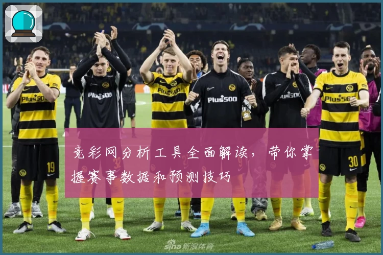 竞彩网分析工具全面解读,带你掌握赛事数据和预测技巧