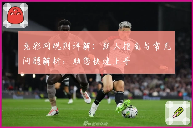 竞彩网规则详解：新人指南与常见问题解析，助您快速上手